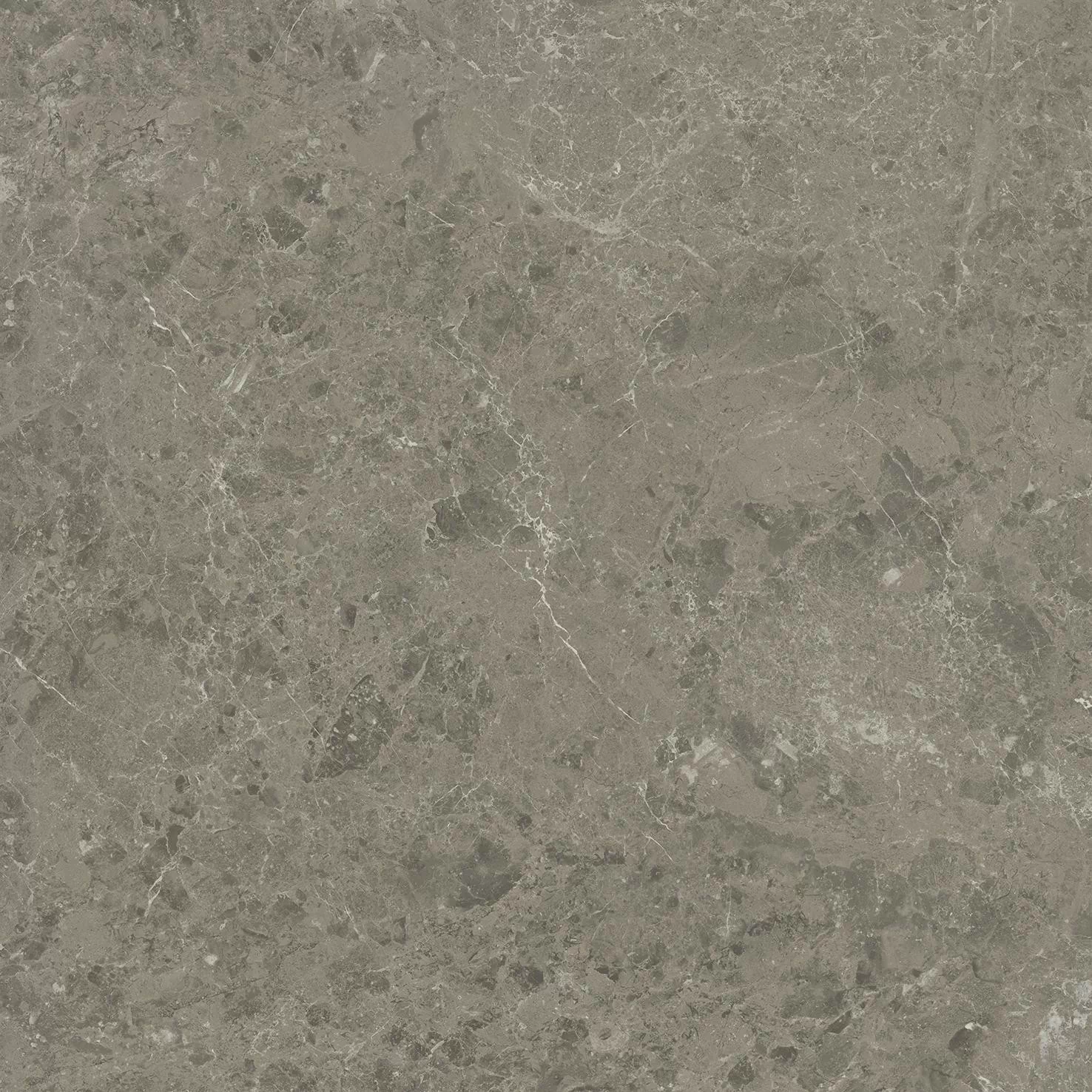 Керамогранит AJJD Marvel Meraviglia Grigio Elegante Matt 60x60