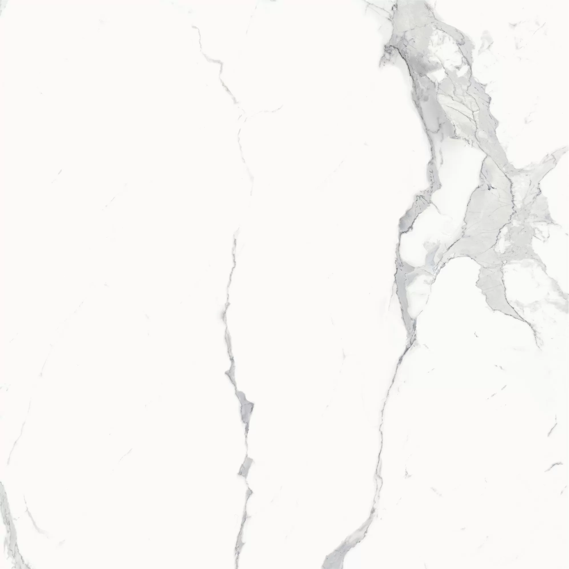 Керамогранит 600010002386 Stellaris Statuario White Nat Ret 120x120