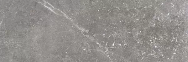 Плитка Pietra Antica Grigio 33.3x100