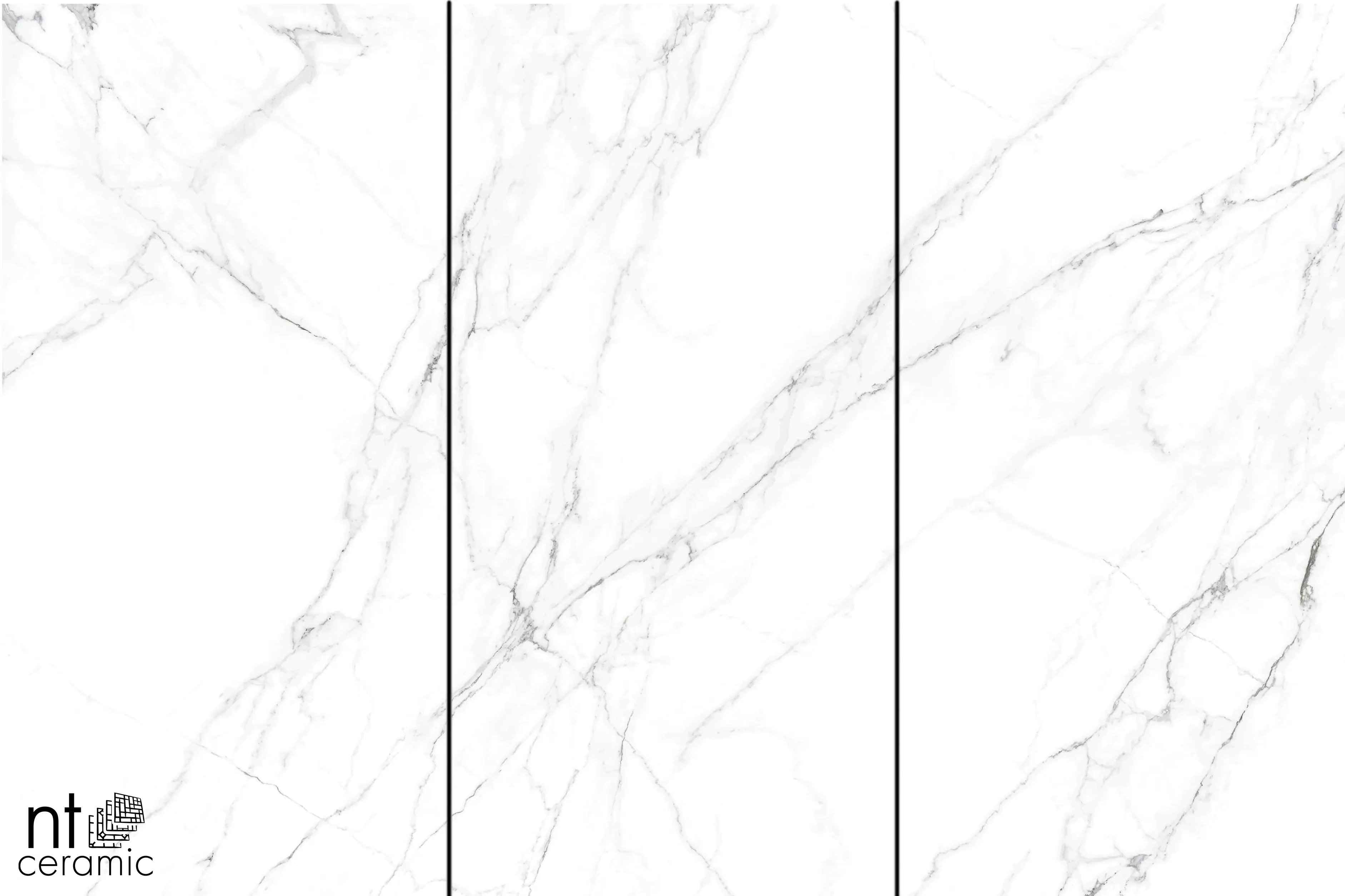 Керамогранит NTT3506L Calacatta Light 120x270
