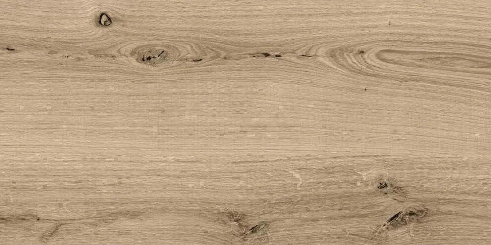 Керамогранит C-WS4O152D Woodhouse темно-бежевый 29,7х59,8