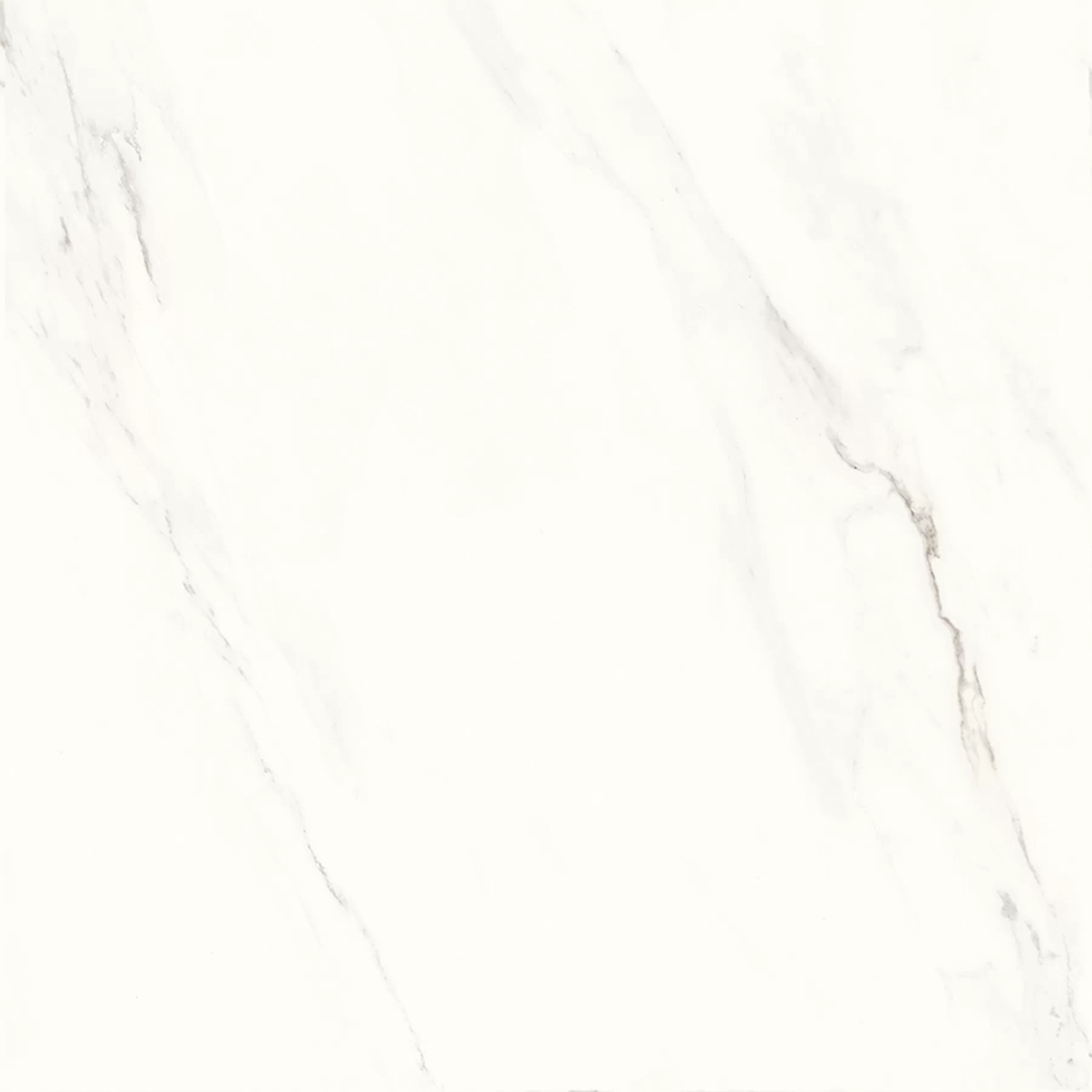 Керамогранит Calacatta Superb полированный 60x60