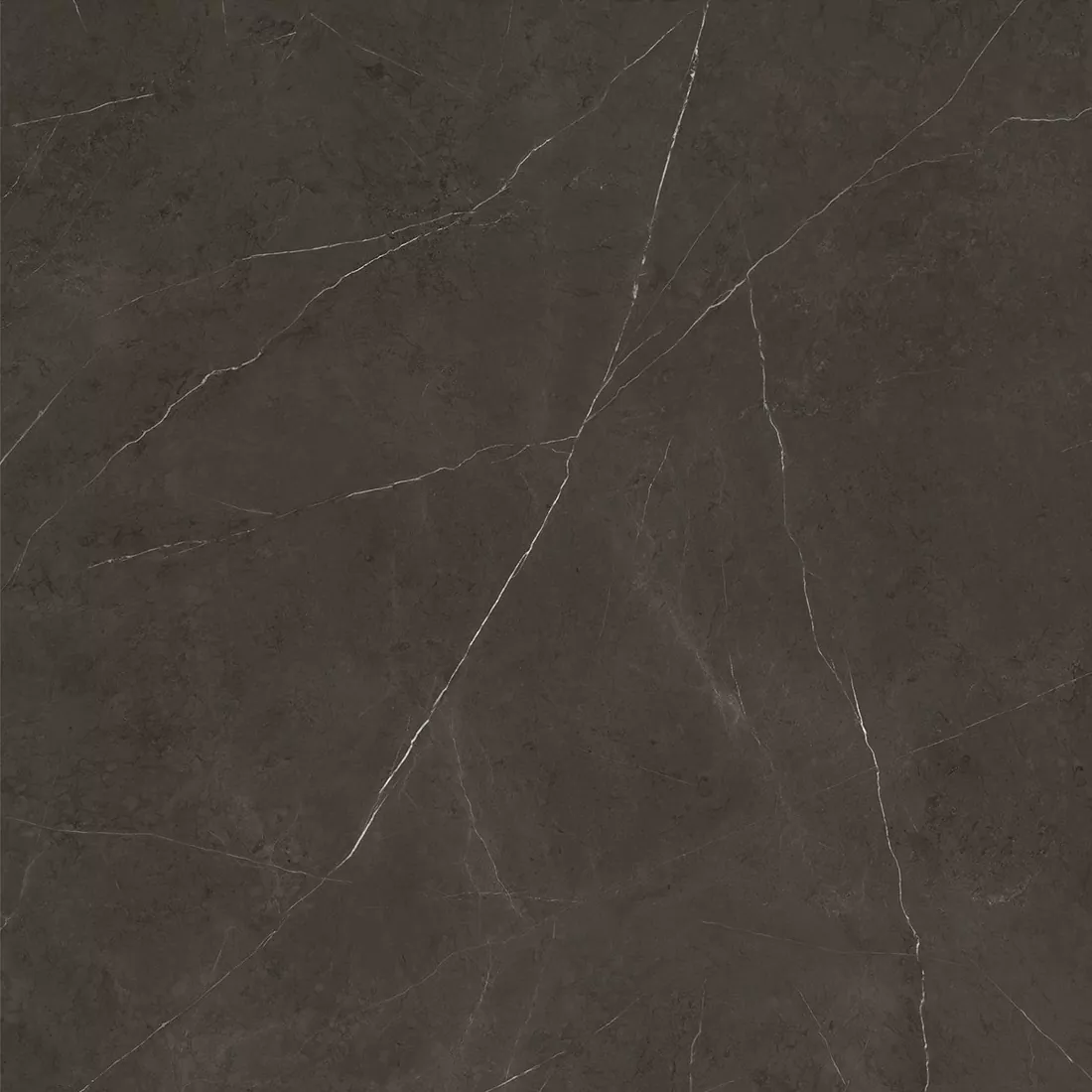 Керамогранит C221101561 Xlight Premium 120x120 Liem Dark Polished (6 мм)