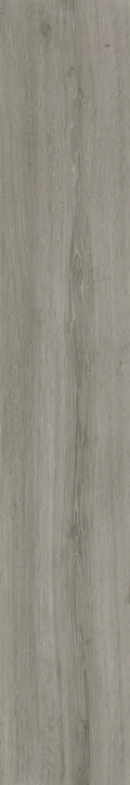 Керамогранит 304121 Ikon Alps Rett 20x122