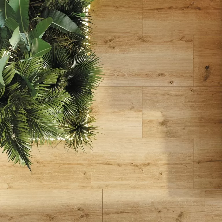 Керамогранит WS5A116 Плинтус Woodhouse коричневый 7x59,8