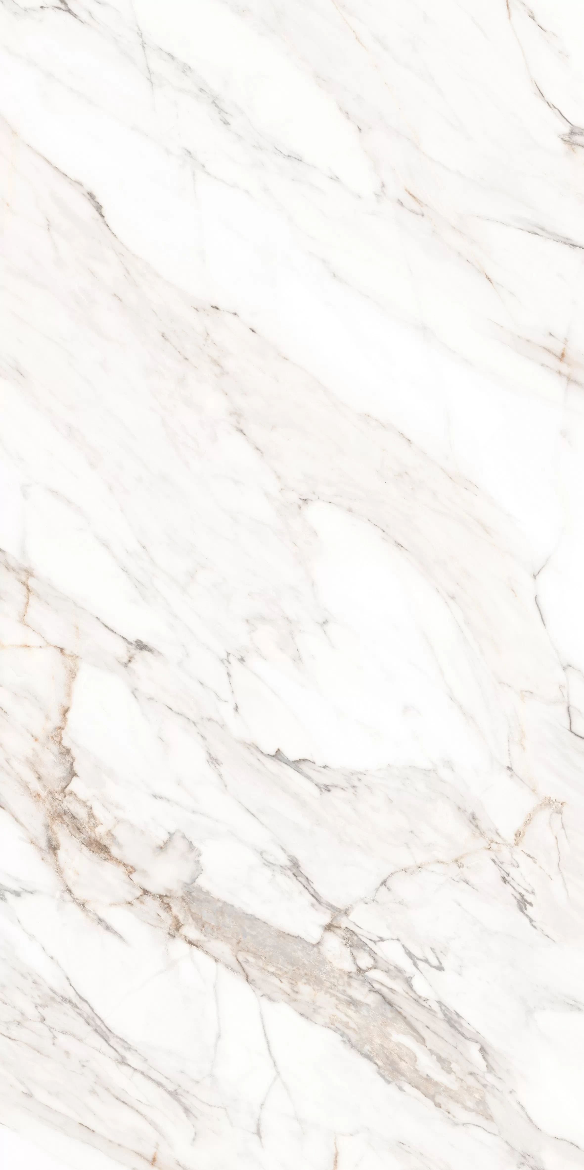 Керамогранит MPL-058640 Calacatta Gold Polished 80x160