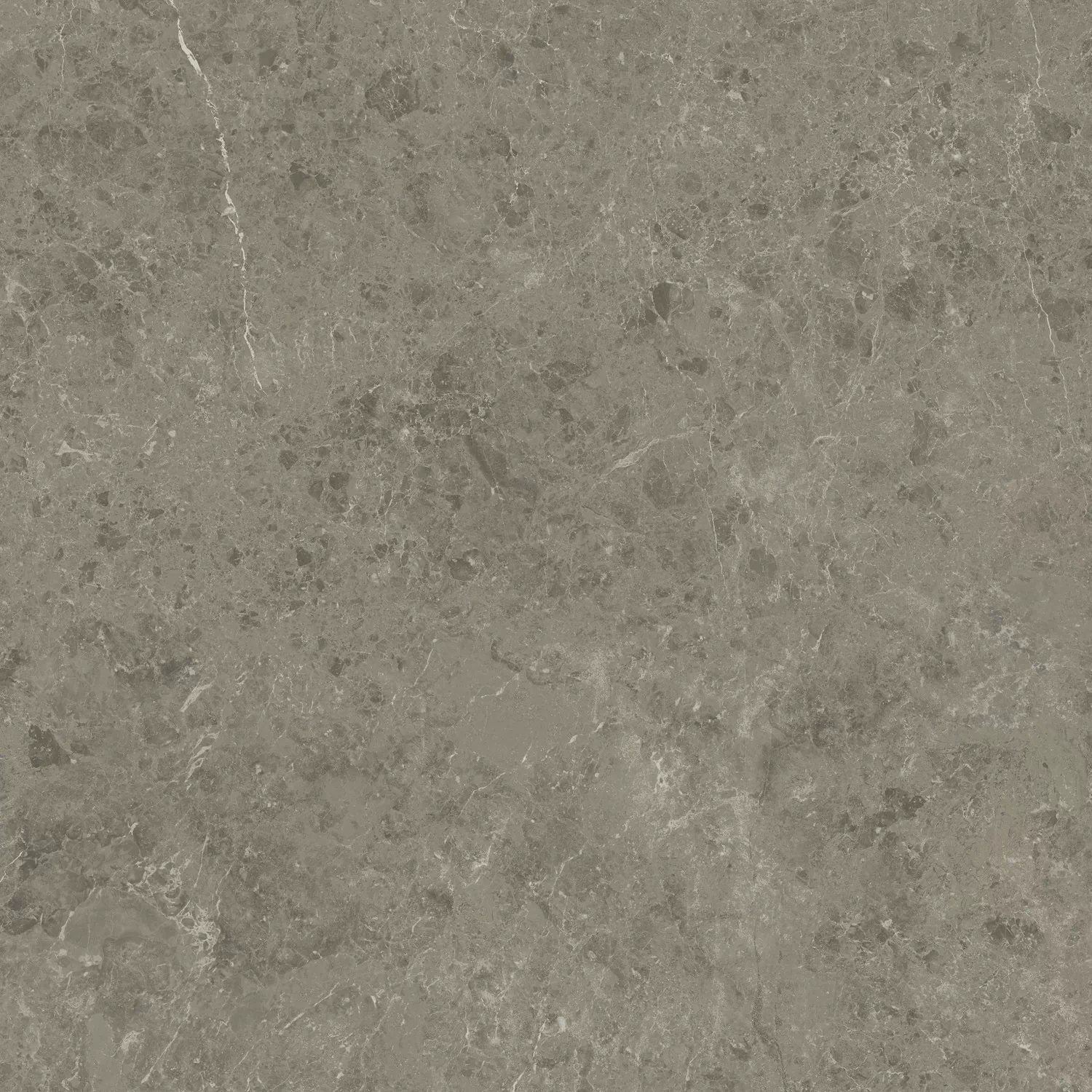 Керамогранит AJIF Marvel Meraviglia Grigio Elegante Lapp. 120x120