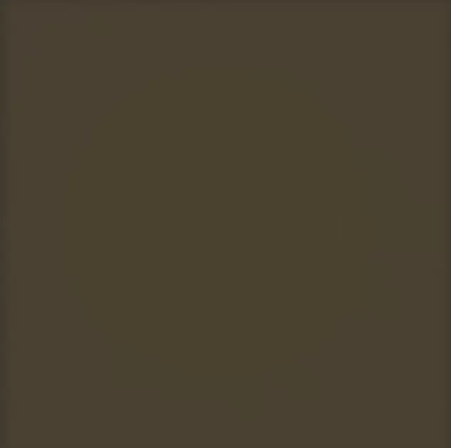Плитка Pastel Brzowy Mat 20x20