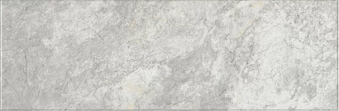 Плитка 616 Image Silver 32,5х100