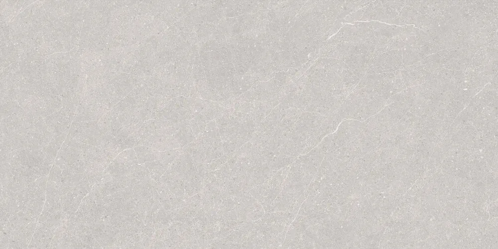 Керамогранит Elenta Ash Carving 60x120