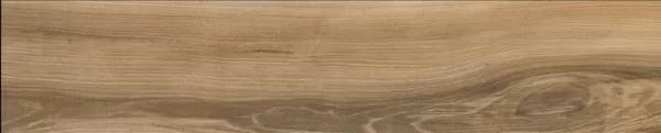 Керамогранит GOA CAOBA Ret. 23x120