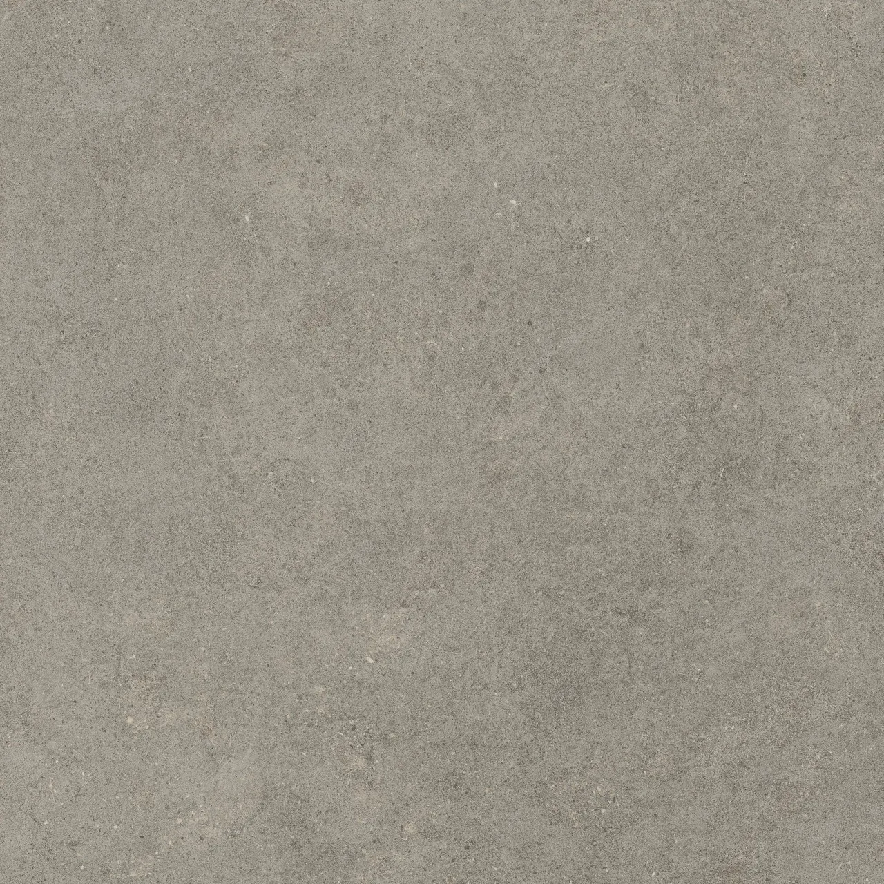 Керамогранит 600010002429 Forte dei Marmi Rock Lunar Grey Matt Rett 120x120