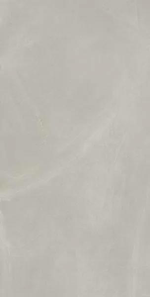 Керамогранит 610010002679 Continuum Silver 60x120