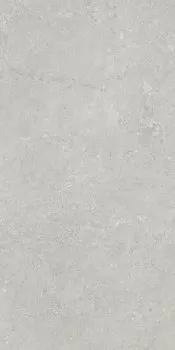 Керамогранит VARSOVIA GRIS RECT LAP+ 60x120
