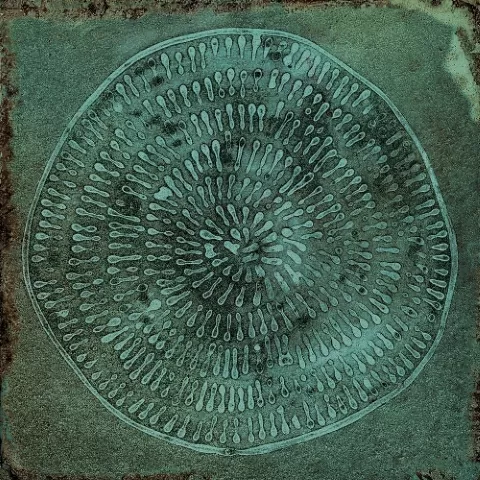 Плитка Carlo Jade-B 20x20