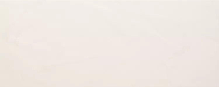 Плитка BG18 Bianco 20*50