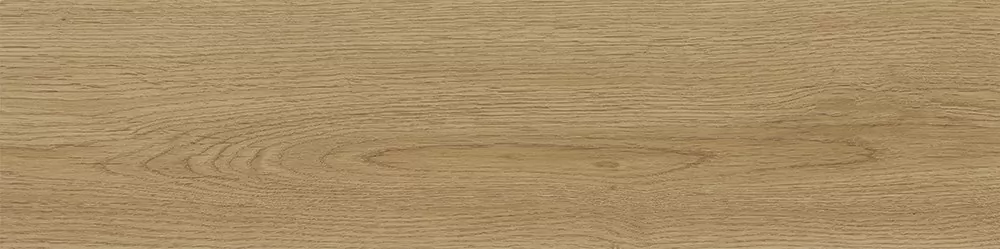 Керамогранит Tregui Natural 8х33