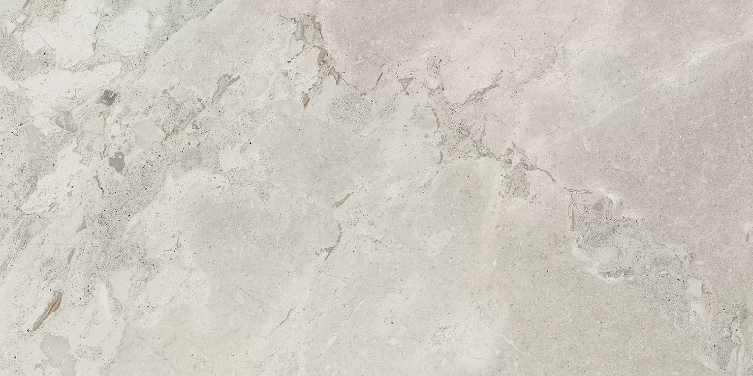 Керамогранит 93453 Karnis Silver Matt 60x120