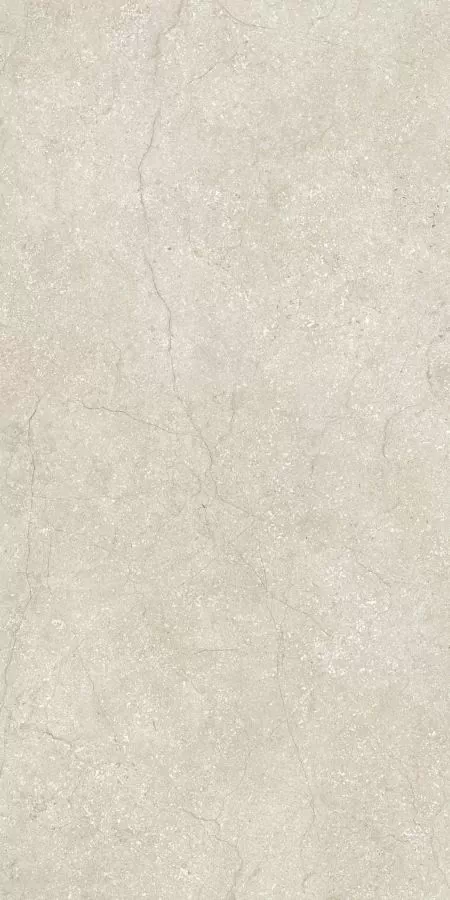Керамогранит 779270 Stone Life Shell Matte Ret 6mm 60x120