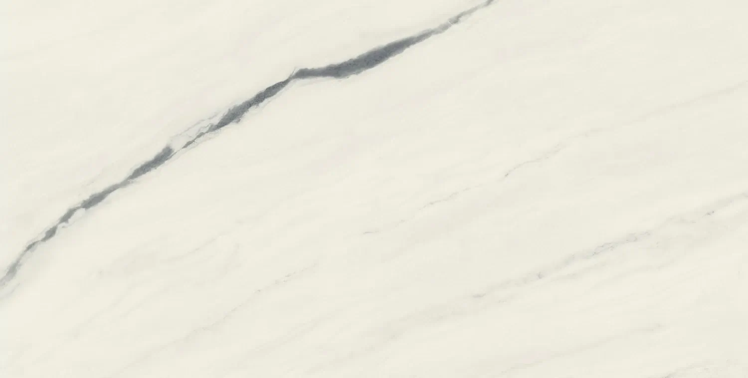 Керамогранит 610010002709 Forte dei Marmi Panda White Rett 80x160