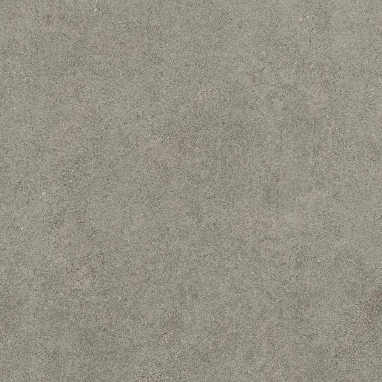 Керамогранит 600010002429 Forte dei Marmi Rock Lunar Grey Matt Rett 120x120