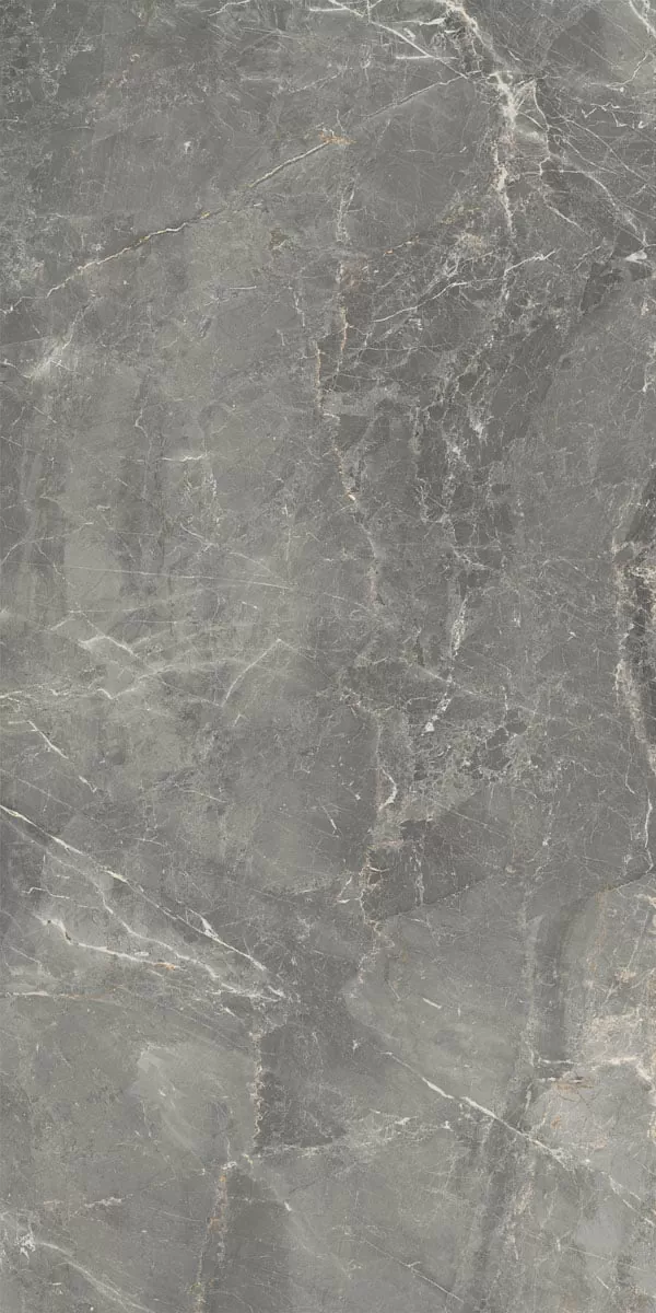 Керамогранит 83331 Sybil Silver Rettificato R10 60x120