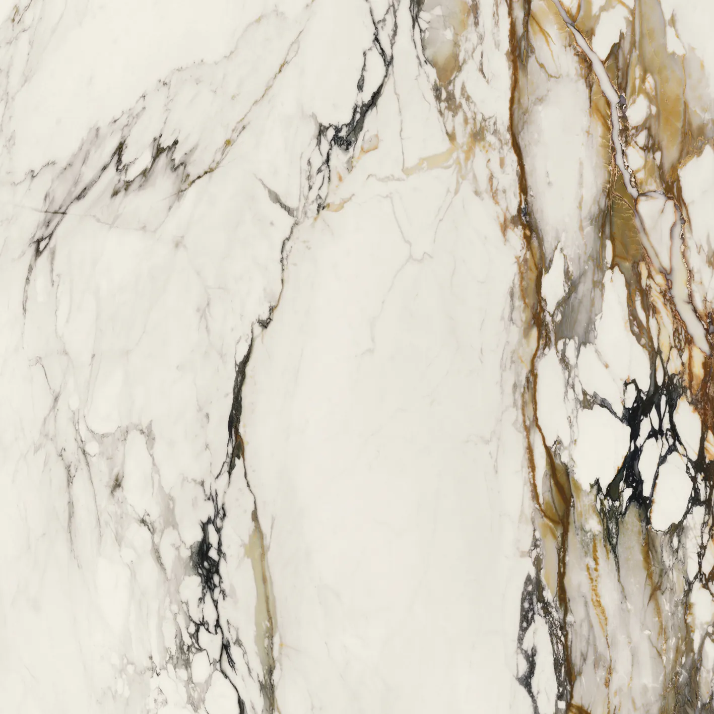 Керамогранит 100331160 Xlight Paonazzo Biondo Silk 120x120