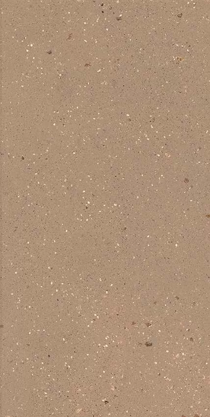 Керамогранит 304148 Geology Cotto 60x120