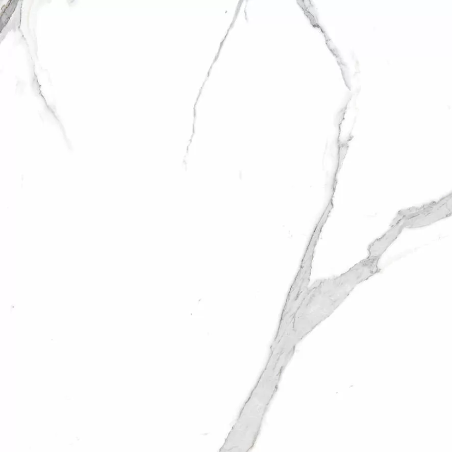 Керамогранит Calacatta Splendid Silver Белый Полированный 60х60