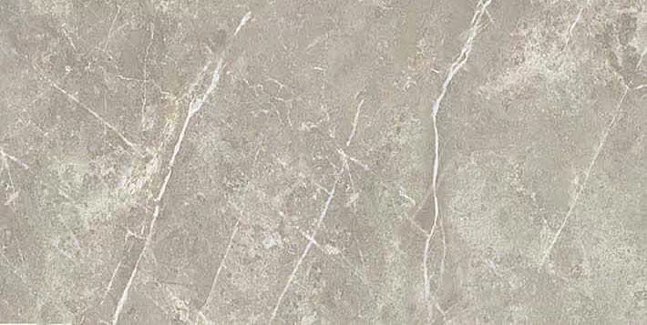 Керамогранит 766617 Elemental Grey Dolomia Nat Ret 30x60
