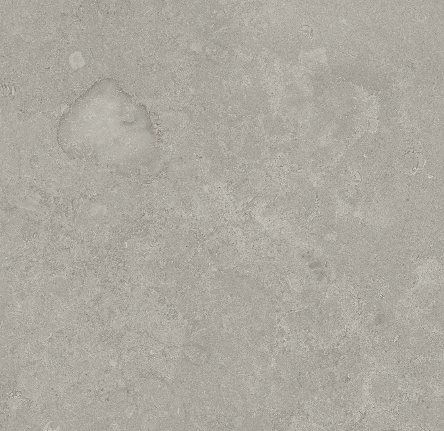 Керамогранит DD640900R Про Лаймстоун серый натуральный обрезной R10 60х60