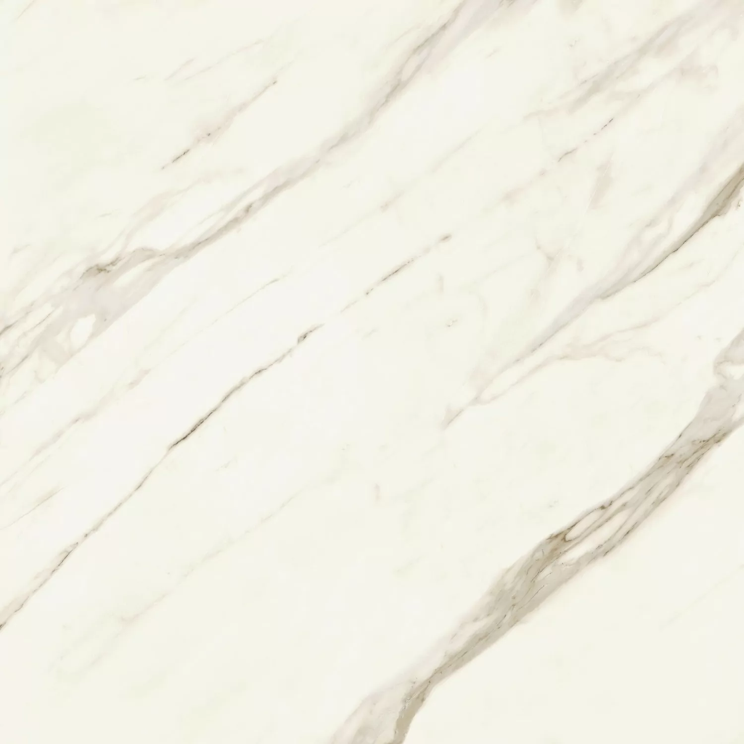 Керамогранит AJID Marvel Meraviglia Calacatta Bernini Lapp. 120x120