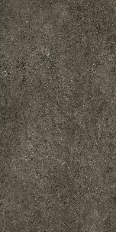 Керамогранит 768327 Sensi Brown Fossil Ret 60x120