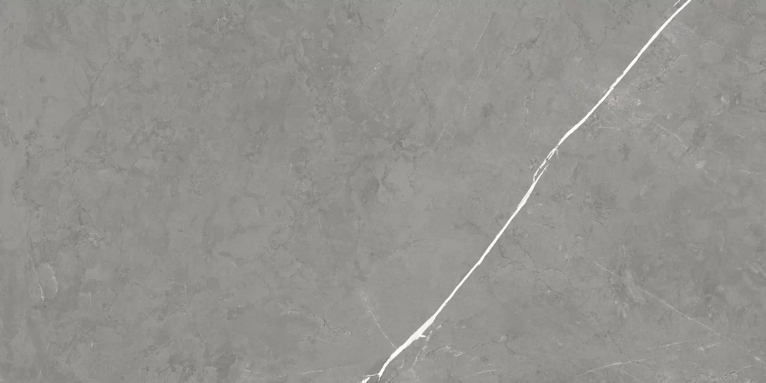 Керамогранит 610015000657 Forte dei Marmi Elegant Grey Rett Cer 60x120