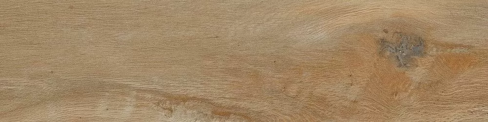 Керамогранит Leccio Classico 10x40