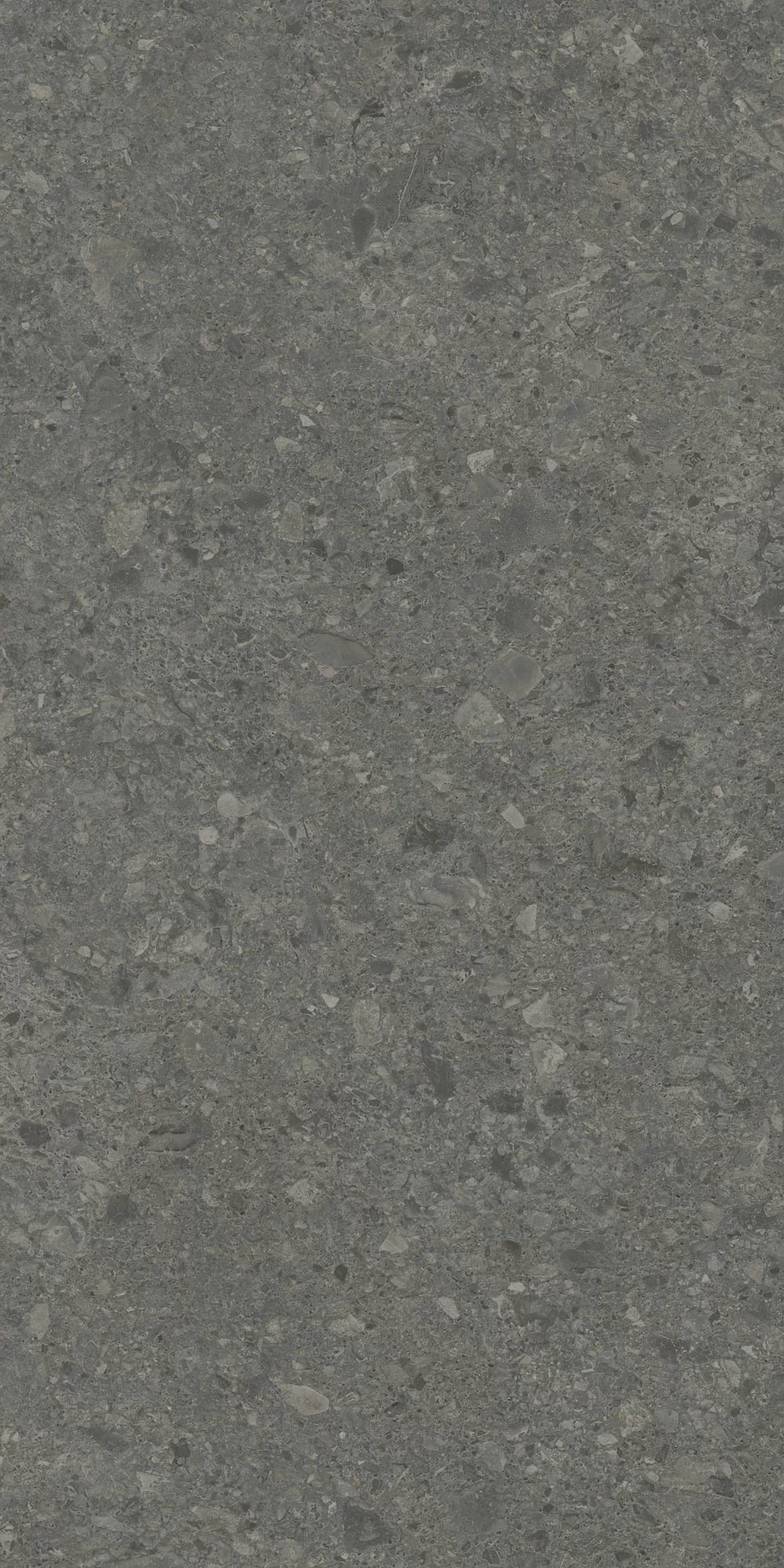 Керамогранит DD591620R Чеппо ди Гре антрацит матовый обрезной 119,5x238,5x0,9