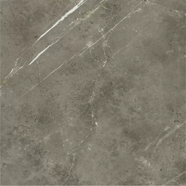 Керамогранит 600010002388 Stellaris Tuscania Grey Nat Ret 120x120