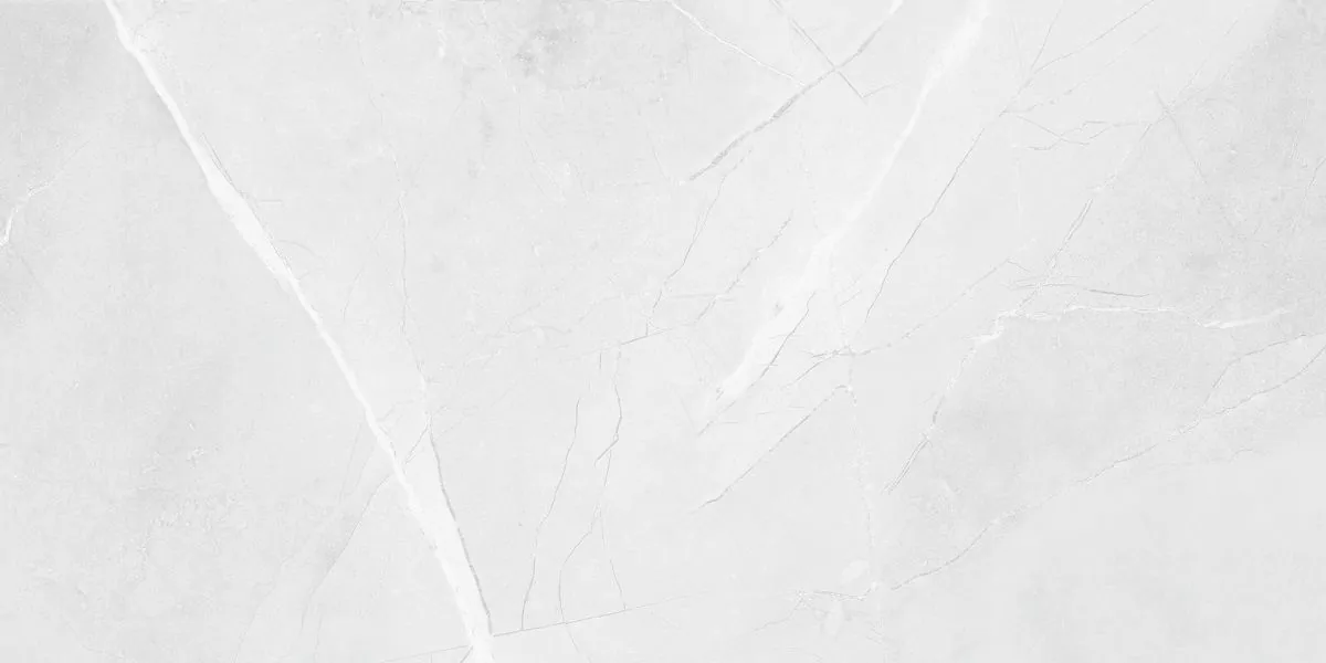 Керамогранит R_PR2015 Floris Bianco Polished 60x120