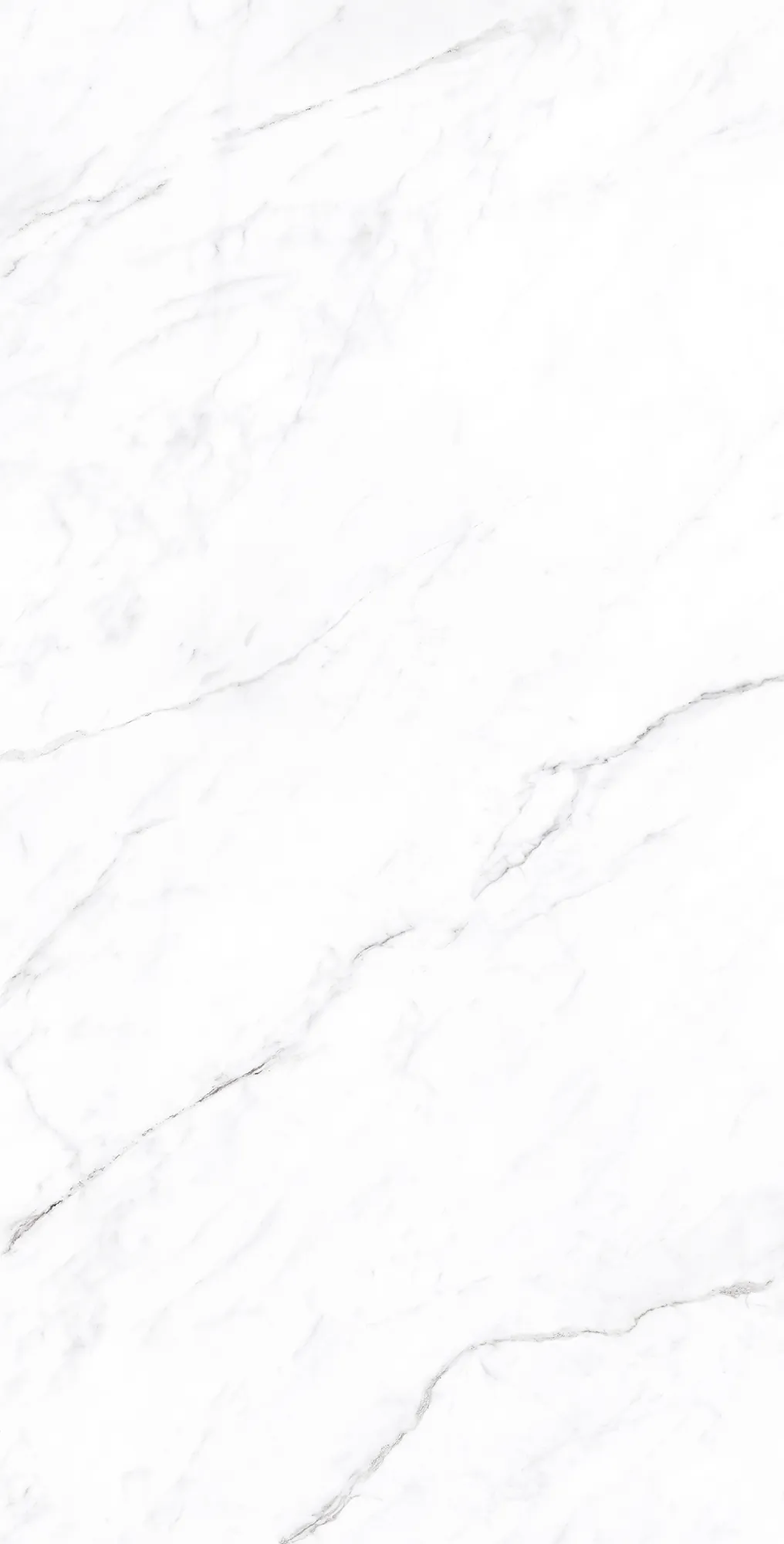 Керамогранит CP4003-A Coralina White Carving Pro 60x120