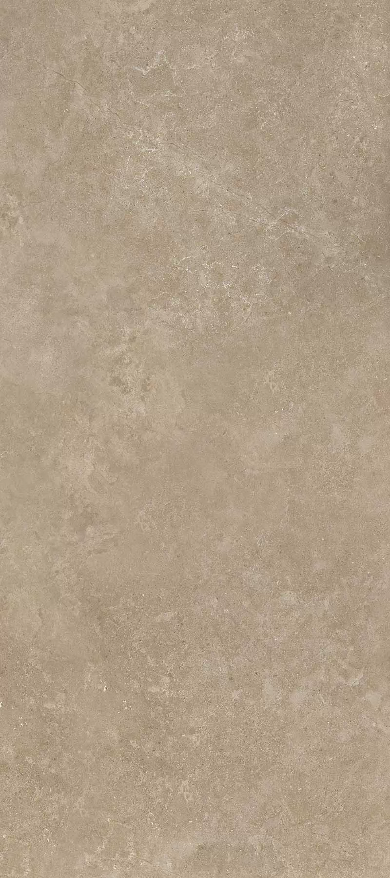 Керамогранит 11022 Shell BG 60х120