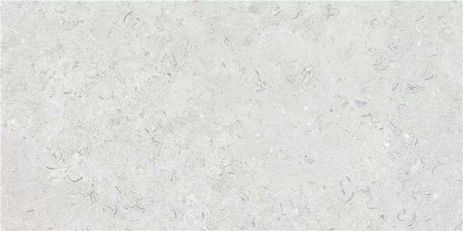 Керамогранит Inout Caliope White Rect MT 60x120
