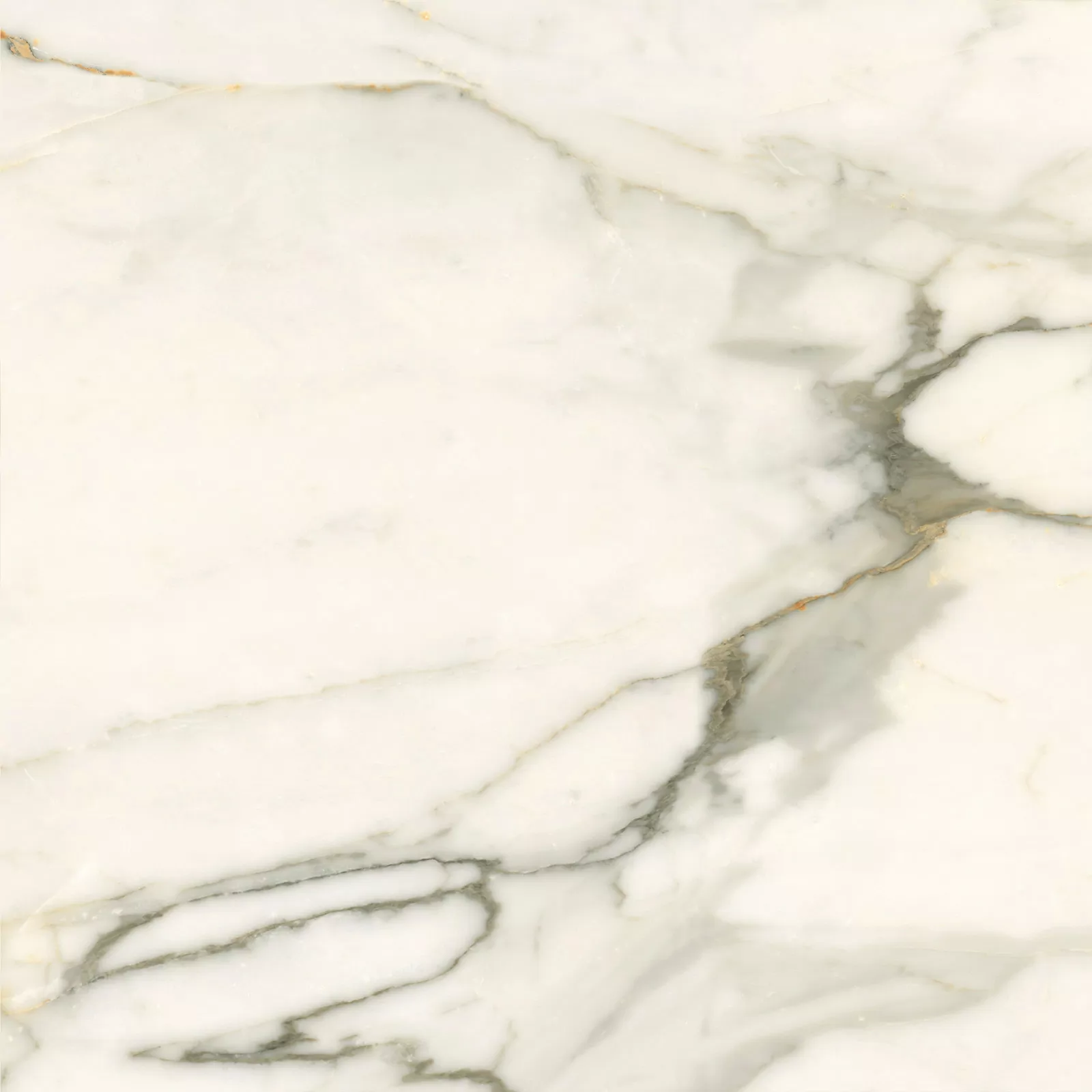 Керамогранит 6060CBO55P Calacatta Borghini 60x60