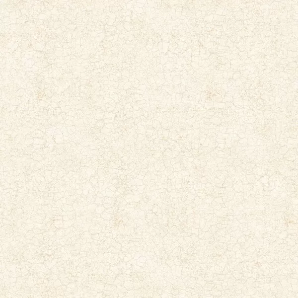 Керамогранит FT4DIL01 Diana Limb 41x41