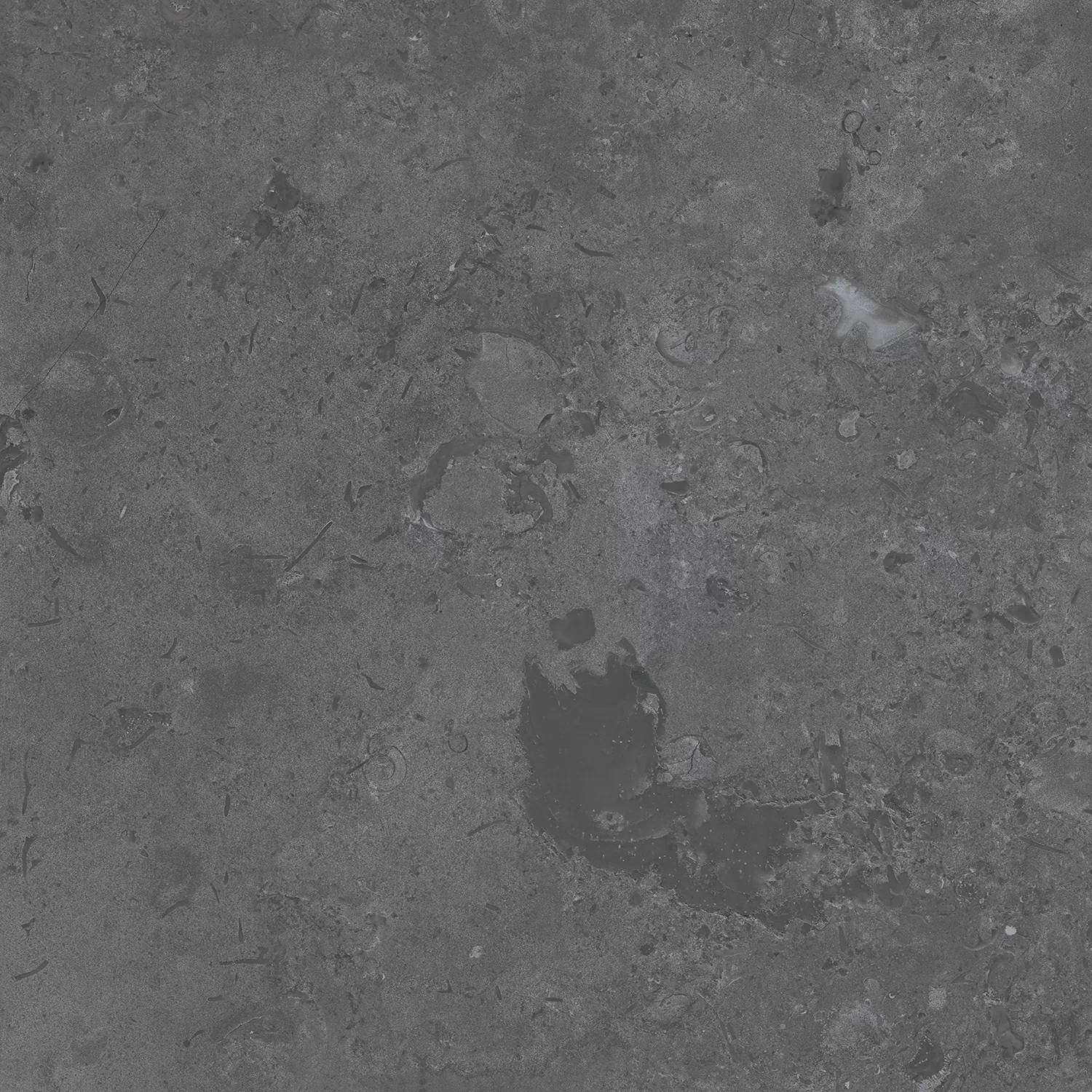 Керамогранит DD640820R Про Лаймстоун серый темный натуральный обрезной 60х60