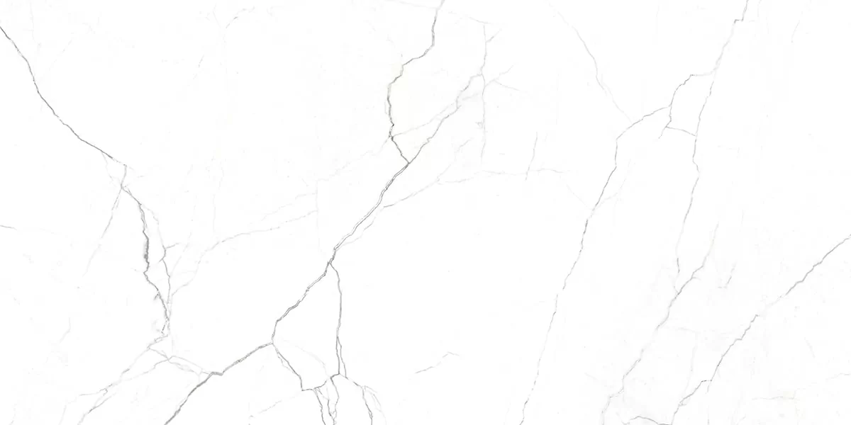 Керамогранит G391 Neiva Elegant MR 60x120