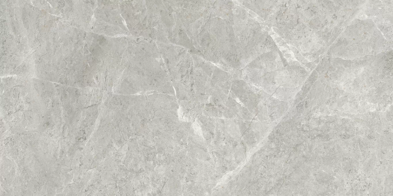 Керамогранит ETSTN1236GL60120 Baltic Grey Glossy 60x120