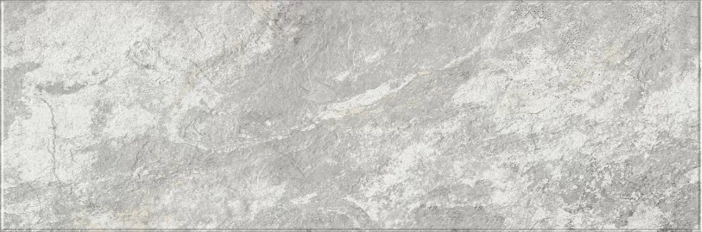 Плитка 616 Image Silver 32,5х100