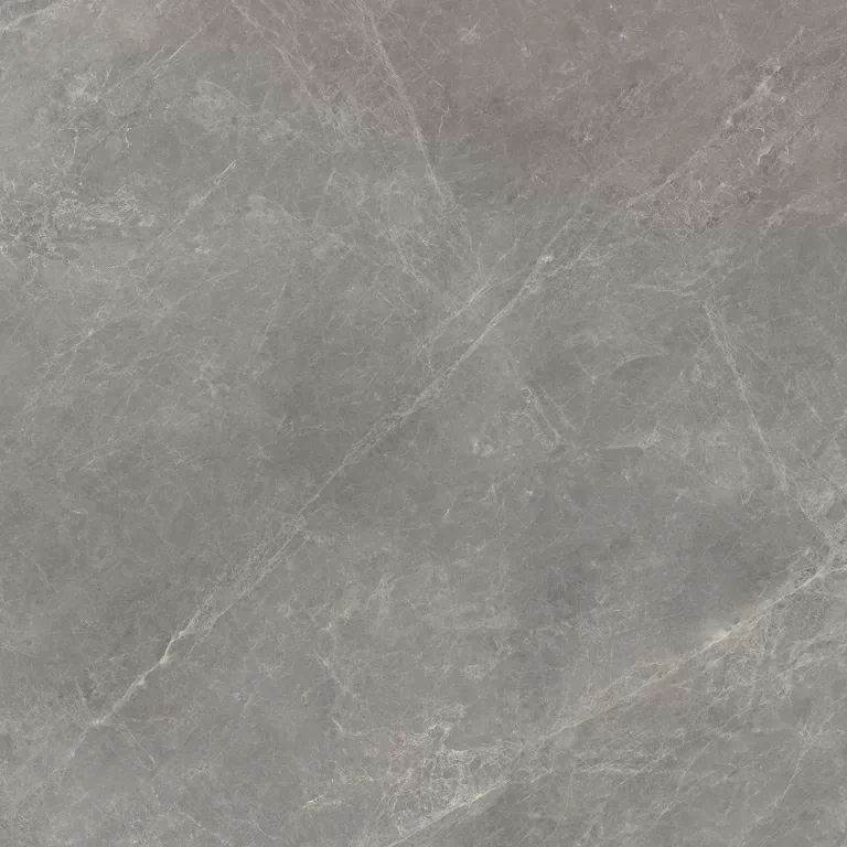Керамогранит 100336888 Mystic Grey L 120x120