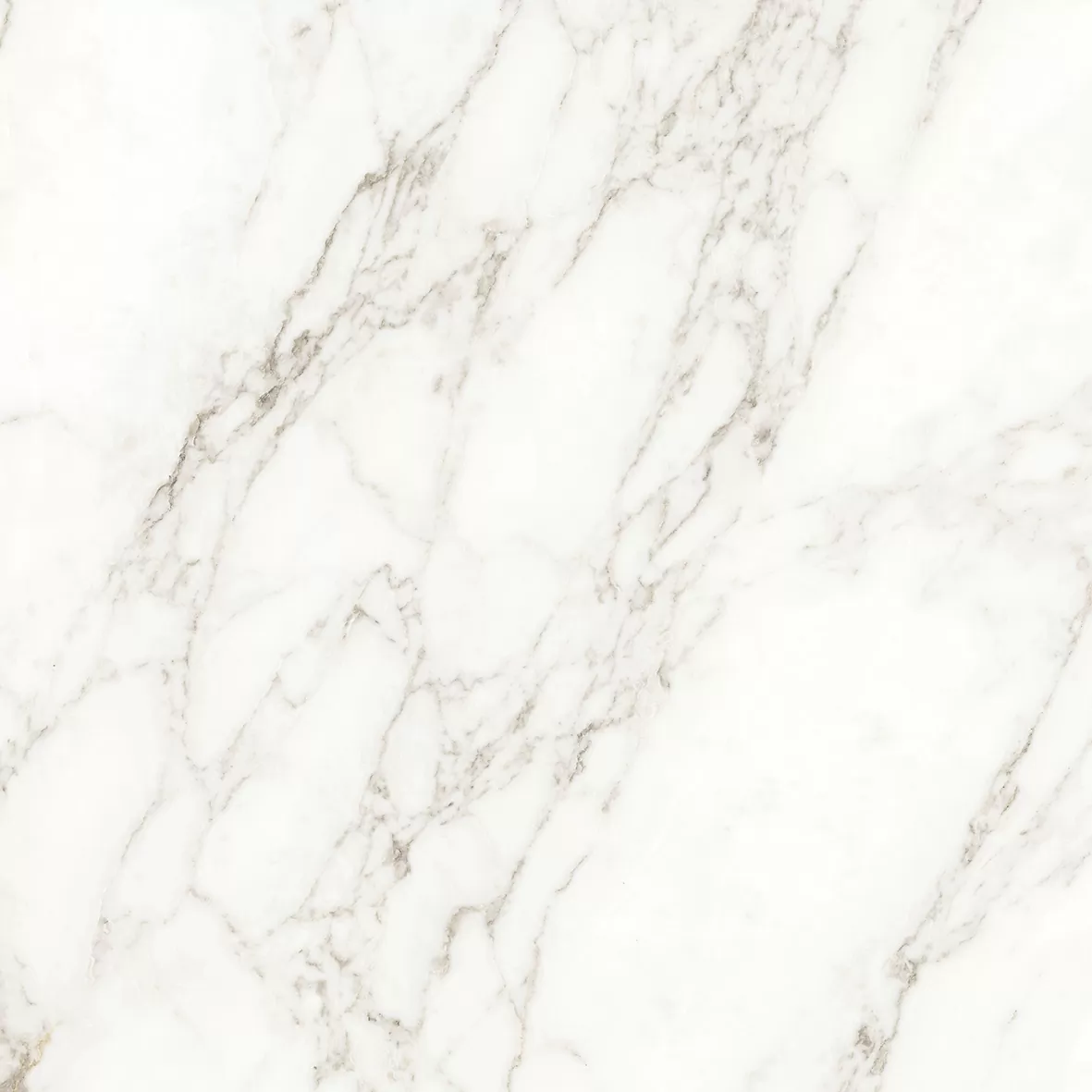Керамогранит Carrara Immense Белый Полированный 80х80