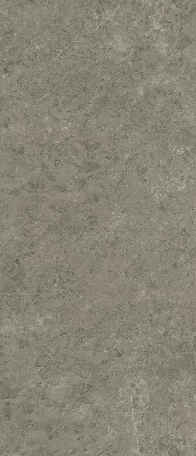 Керамогранит AJH5 Marvel Meraviglia Grigio Elegante Lapp. 6mm 120x278